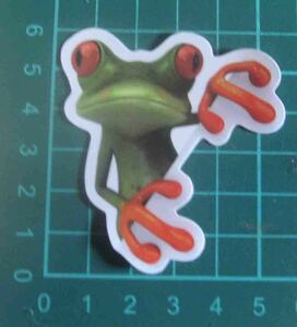 カエル　蛙　◆　ステッカー