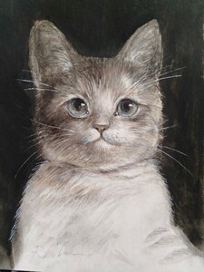 猫のイラスト 手描きイラスト 水彩画 インテリア B6サイズ, 絵画, 水彩, 動物画