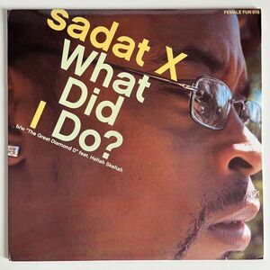 Sadat X - What Did I Do? / The Great Diamond D