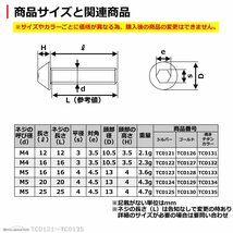 M5×20mm スターヘッド タッピングネジ ステンレス 六角穴付きネジ いつもと異なるネジへ ゴールド 1個 TC0129_画像3