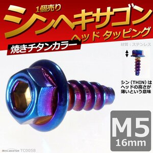 M5×16mm シンヘキサゴンヘッド タッピングネジ 六角タッピングネジ ロードバイクなど ドレスアップパーツ 焼きチタンカラー 1個 TC0058