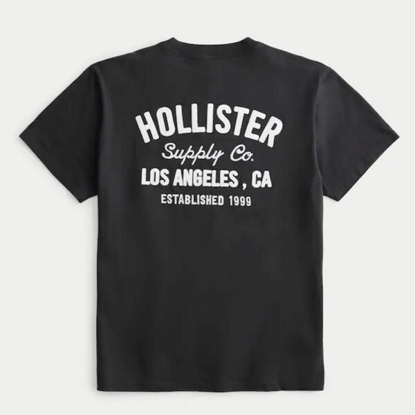 HOLLISTER ロゴグラフィックTシャツ XXL 半袖Tシャツ BLACK T-SHIRT Tee