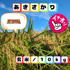 【福井県産あきさかり】玄米10kg【⑤年産新米】特別栽培米【精米無料サービス】