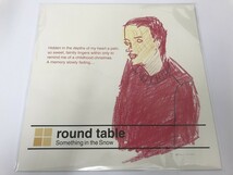 CG018 Round Table / Something In The Snow COCL-9801 【LP レコード】 509_画像1