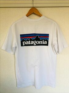 【パタゴニア】patagonia バックロゴ Tシャツ