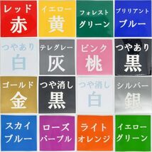 ■アインシュタイン■カッティングシート ステッカー シール ロゴマーク シルエット 物理学者 相対性理論 ユーモア 屋外防水_画像4