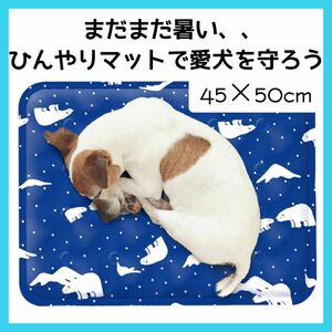 ペット 冷感マット ひんやりマット 犬猫 冷却マット 耐噛み 冷感 ジェルマット 新品 未開封 暑さ対策 耐噛み 夏用 両面