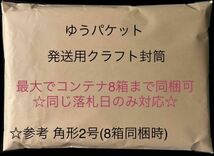 《同梱可》未使用・朗堂(HOGARAKADOU)C-1412 12f コンテナ UR19A タイプ RICOH(エコレールマーク付)1箱_画像4