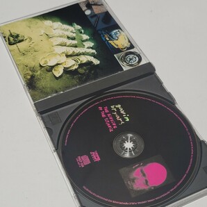 《送料込み》現代音楽 CD 国内盤 ギャヴィン・ブライアーズ「タイタニック号の沈没」リマスター盤 帯ありの画像3