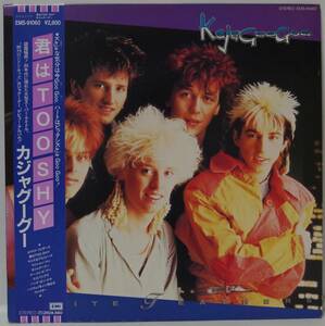 中古LPレコード簡易洗浄済み：KajaGooGoo(カジャグーグー) / WHITE FEATHERS(君はTOO SHY) (国内盤：EMS-91060)