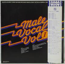 中古LPレコード簡易洗浄済み：PRO-USE SERIES MALE VOCAL VOL.1(メール・ボーカル Vol.1)_画像3