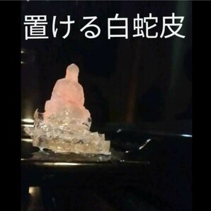 陰陽師手作り白蛇皮お守り弁財天化身白蛇皮　西大寺祈祷済み　ヤフオク評価あり　大人気