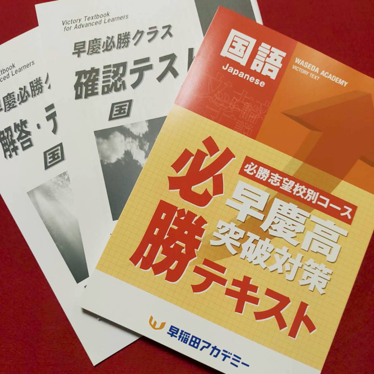 ヤフオク! -「早稲田アカデミー 必勝」(学習参考書) (学習、教育)の