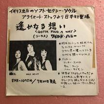 7 プロモ・オンリー Wild Honey 遙かなる想い Gotta Find A Way Everybody knows _画像1