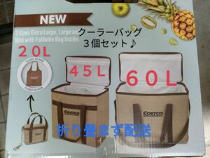 特売♪サスティナブル ジュートクーラーバッグ (60L, 45L, 20L)★折畳みません！！