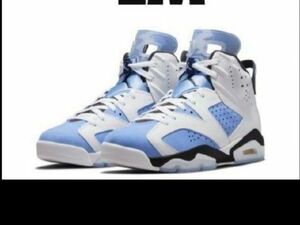 Nike Air Jordan 6 "UNC"ナイキ エアジョーダン 6 "UNC"　29cm US11