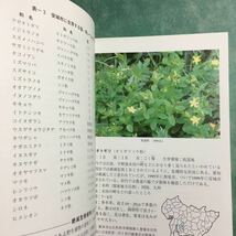 【送料無料】安城の植物 安城市の貴重な草花 * 絶滅危惧植物 ノジトラノオ アゼオトギリ 植物群落 希少種 自然環境 本_画像3