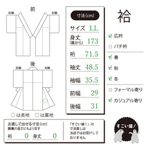 すごい値！御召 袷 着物 正絹 縞 ストライプ 先染め カジュアル 中古 仕立て上がり 身丈173 裄71.5 ふくよか ＴＬ寸 みやがわ nek00855_画像9