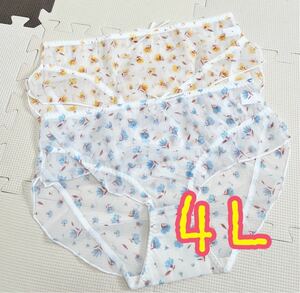 大きいサイズ4L xxxl 3XL 小花シースルーショーツ２枚セット