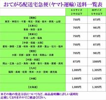 【 1000mg 100タブレット 】 sustained release ビタミンC now : ローズヒップ配合 徐々に放出される徐放タイプ 送料350円～_画像5