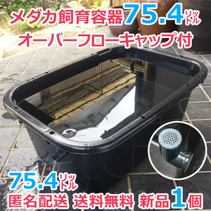 メダカ飼育容器【75㍑ 黒 1個 オーバーフロー加工済 専用キャップ付】 メダカ飼育ケース 金魚 針子 水草 睡蓮 ビオトープ 【五色アクア】