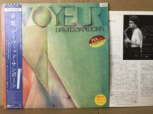 DAVID SANBORN VOYEUR LP 悪夢 帯 P-10997W