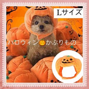 犬　猫　ハロウィン　かぼちゃ ドッグウェア 帽子 被り物 かぼちゃ帽子 パーティー かぶりもの　パーティー用品　コスプレ　Lサイズ