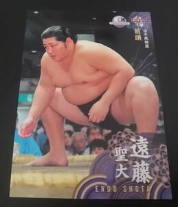 スポーツカード・マガジン付録 大相撲 追手風部屋 遠藤聖大