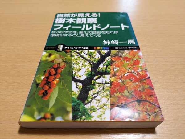 自然が見える！樹木観察フィールドノート　枝ぶりや立地、進化の歴史を知れば環境がまるごと見えてくる サイエンス・アイ新書 姉崎一馬