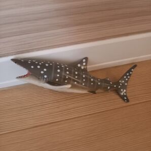 ジンベエザメ フィギュア