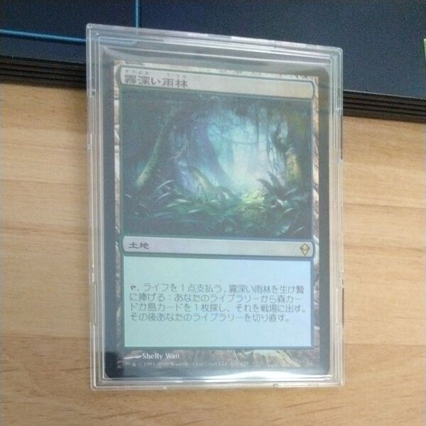 霧深い雨林 MTG 日本語版 FOIL 初版