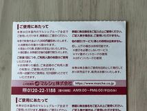 マルシェ 株主優待券 1000円券×10枚 10,000円分 最新◆酔虎伝・八剣伝・餃子食堂マルケン◇2023/12/31期限◆ゆうパケット送料込_画像2