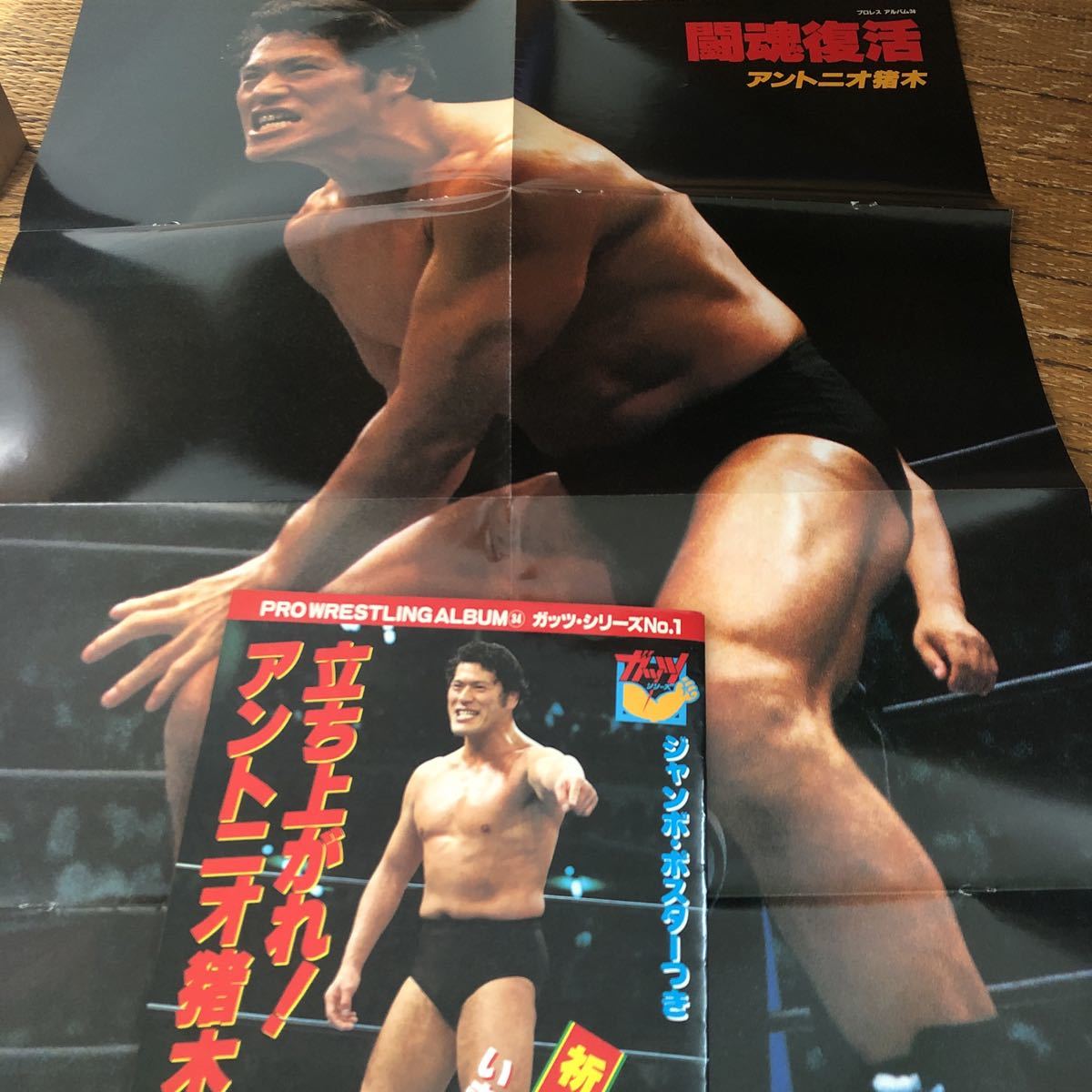 デラックスプロレス 16冊 付録ポスター（ジャンボポスター14枚
