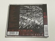 新品未開封CD ViViD『THE PENDULUM [DVD付初回生産限定盤B]』ESCL-4173~4_画像2