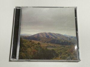 CD Dirty Projectors + Bjork『Mount Wittenberg Orca』ダーティー・プロジェクターズ + ビョーク (Domino RUG418CD)