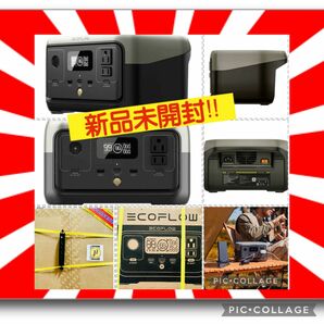 EcoFlow ポータブル電源 RIVER 2 容量256Wh 定格出力300W