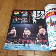 週刊プロレスNo.486 1992年3.31/新日20周年/ストロングマシン/誠心会館/ドス・カラス/上田馬之助/キューティー鈴木/尾崎魔弓/下田美馬_画像5