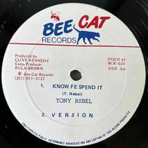 ★美盤！Big Bad Sound killa！【Derrick Parker - Rough Neck Sound / Tony Rebel - Know Fe Spend It】12inch Bee Cat Records JA_画像2