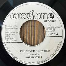 ★1963！Vybz Kartel/I Neva元ネタ【The Maytals - I'll Never Grow Old / The Skatalites - Song Of Love】7inch Studio One / Coxsone JA_画像1