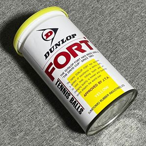 DUNLOP FORT J.T.A テニスボール　2球1缶