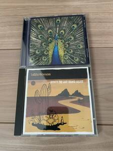 ザ・ブルートーンズ (The Bluetones)　２枚セット　『Expecting to Fly』『Return to the Last Chance Saloon』　送料込