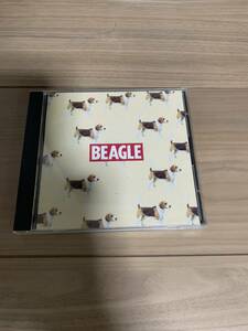 BEAGLE / ビーグル 　ギターポップ　ネオアコ 国内盤　送料込
