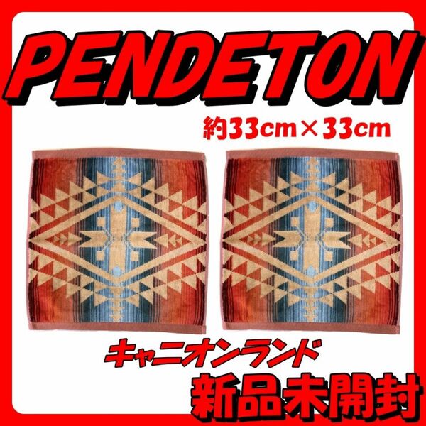 ペンドルトン PENDLETON ハンドタオル ジャガード ウォッシュタオル 2枚セット　③