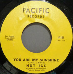 【SOUL 45】HOT ICE - YOU ARE MY SUNSHINE / I'LL BE YOUR EVERYTHING (s231001003)