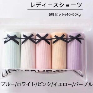 コットンレディースショーツパンツ5枚セット（L40-50kg）優しい色B