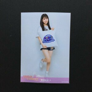 NMB48 ひらかたパーク みんなの知らない私たちがここにある ② 生写真 安田桃寧