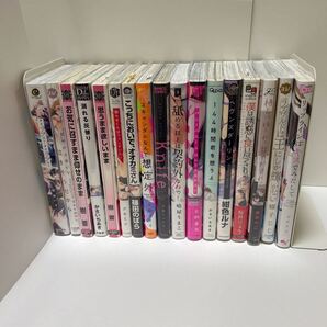 BL 17冊セット まとめ売り ④② 【変更済み】