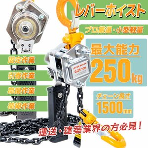 【送料無料】遊転機能付!! レバーホイスト 0.25トン チェーンホイスト 250kg 荷締め ジャッキ チェーン ガッチャ チェーンブロック