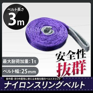 【１本入り】ナイロンスリングベルト 3m 幅25mm 荷重1000kg 1t 玉掛け ベルトスリング 吊上げ ロープ 牽引