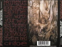 ＊中古CD PHOBIAフォビア/Destroying the Masses 1999年作品 U.Sグラインドコア CAPITALIST CASUALTIES DROPDEAD SIEGE SPAZZ TRAGEDY_画像2